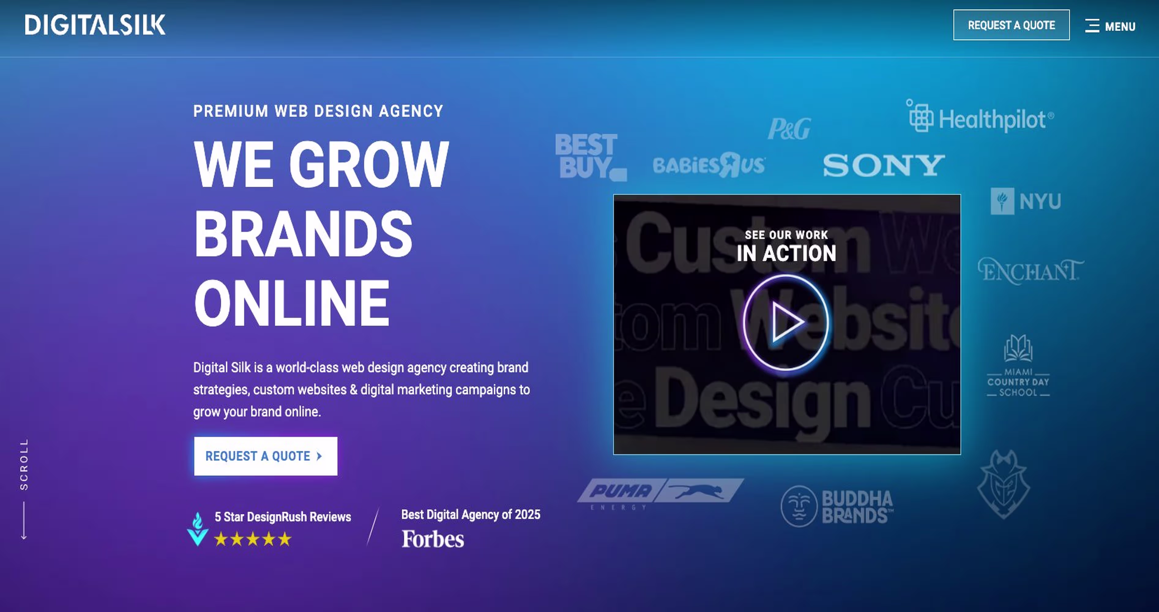 Digital Silk – Premium Healthcare Website Design Agency Growing Brands Online