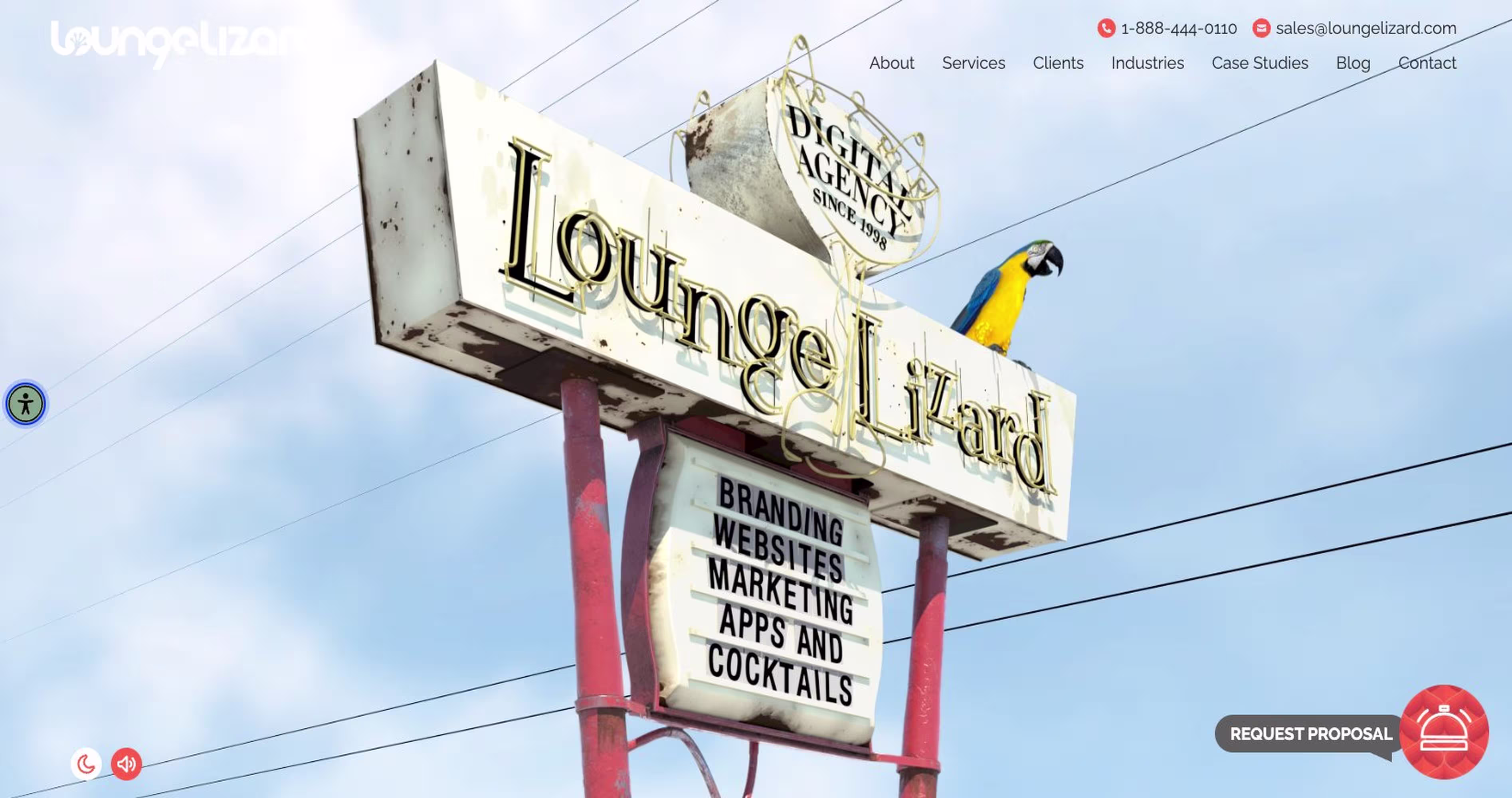 Lounge Lizard – Award-Winning Healthcare Website Design & Digital Marketing Agency Since 1998
