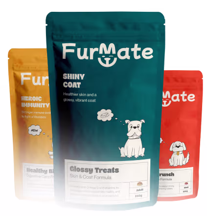 Furmate Case Study: Building a Playful Pet Food Identity from Scratch