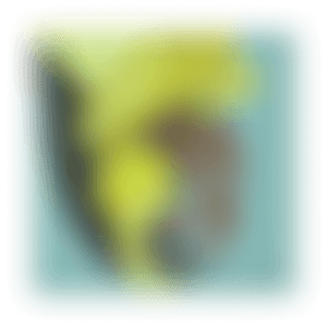 Codeair: AI & IT Solutions